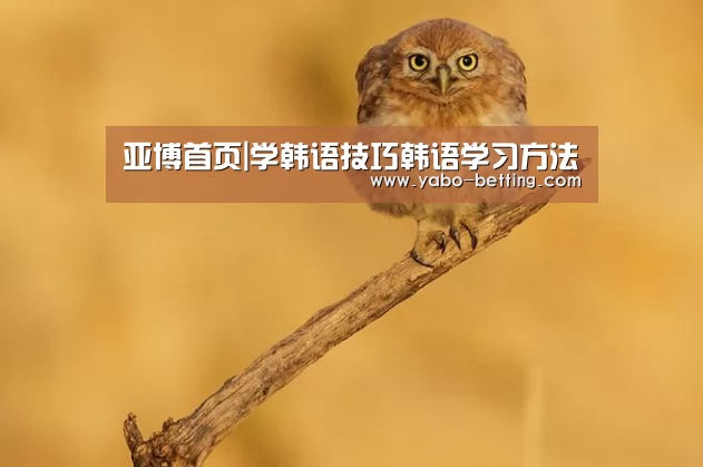 亚博首页|学韩语技巧韩语学习方法(图3) 亚博赛事