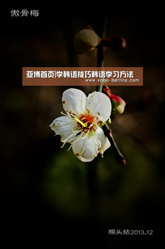 亚博首页|学韩语技巧韩语学习方法(图2) 亚博官方