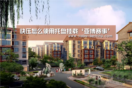 快压怎么使用托盘挂载‘亚博赛事’(图2) 亚博官方