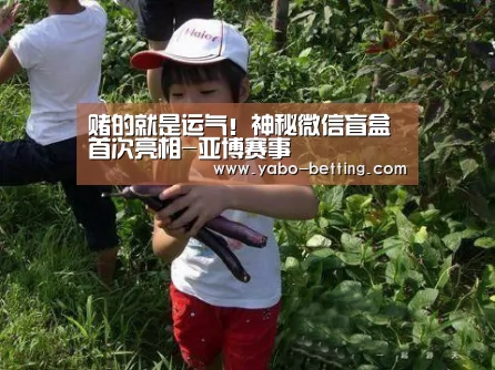 赌的就是运气!神秘微信盲盒首次亮相-亚博赛事(图4) 亚博官方